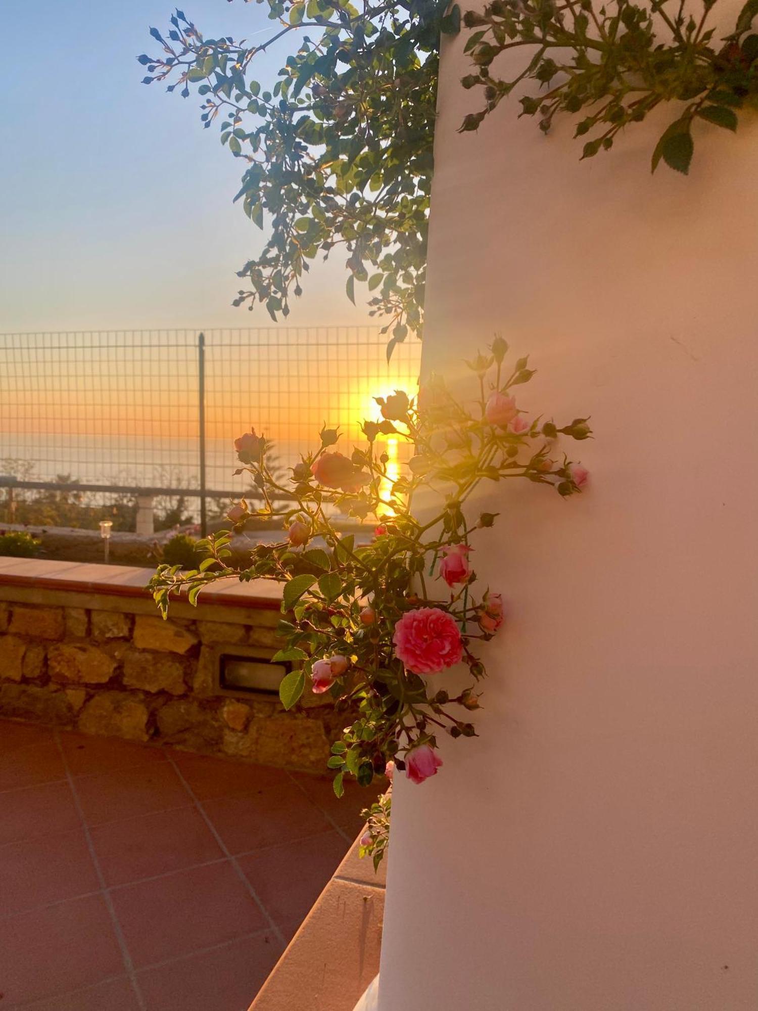 B&B La Ciammurrella Anacapri  Dış mekan fotoğraf