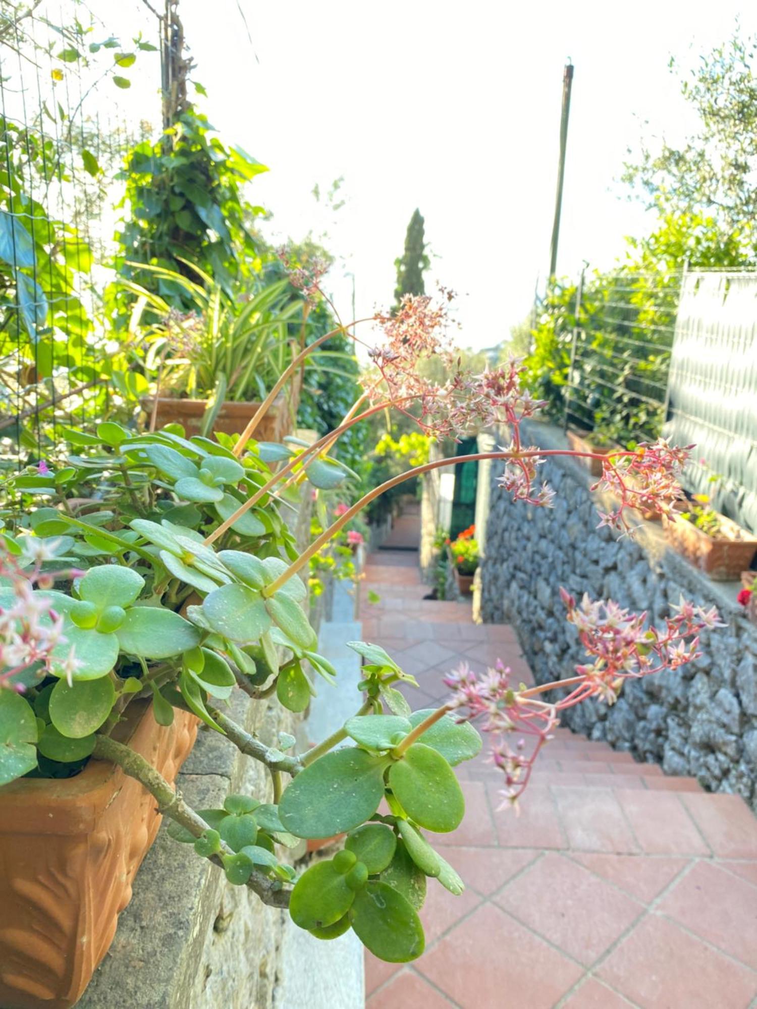 B&B La Ciammurrella Anacapri  Dış mekan fotoğraf